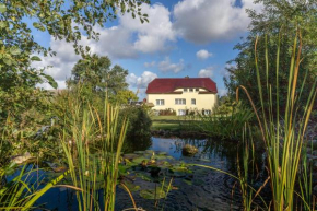 Haus Silbermöwe in Middelhagen
